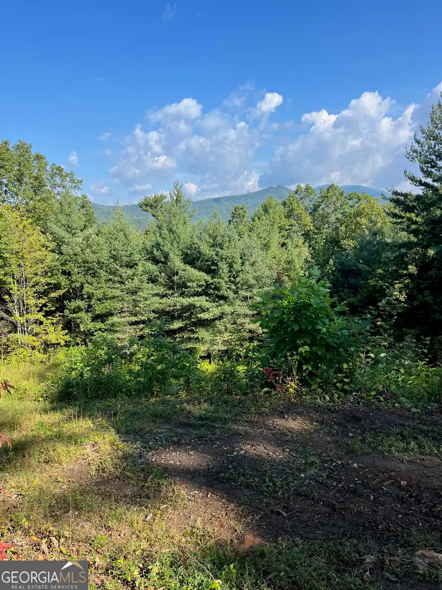 0 Briarwood Lane, Clayton, GA 30525 - Image #2