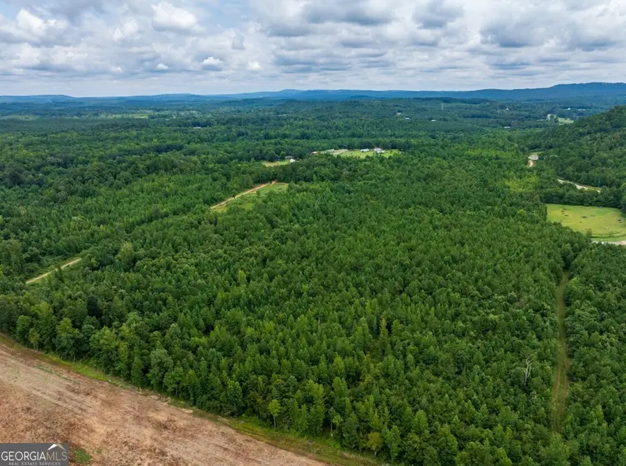 0 Double Pond Trail #TRACT 1, Hayden, AL 35079 - Image #2