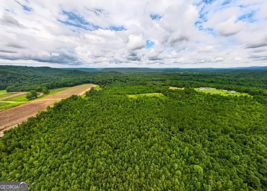 0 Double Pond Trail #TRACT 1, Hayden, AL 35079 - Image #3