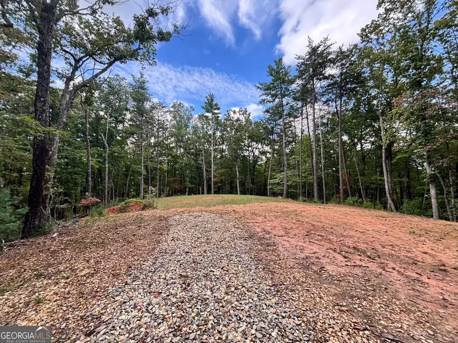 LOT 10 Johnston Road, Ellijay, GA 30536 - Image #3
