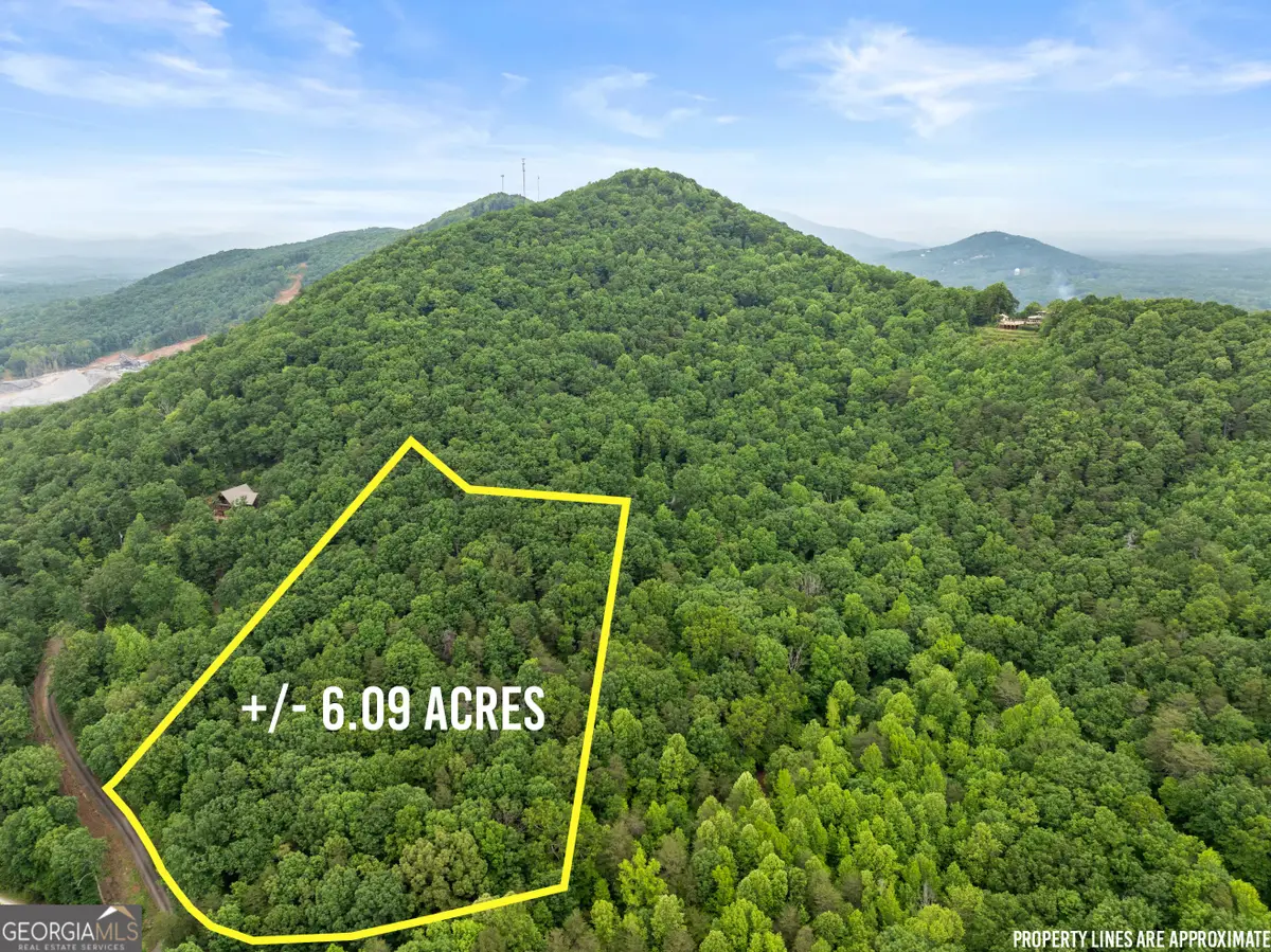 0 Long Mountain Road, Cleveland, GA 30528 - Image #1