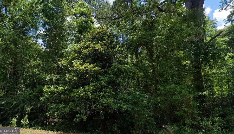 0 Beverly Jeffries Hwy #LOT 17, Citronelle, AL 36522 - Image #3