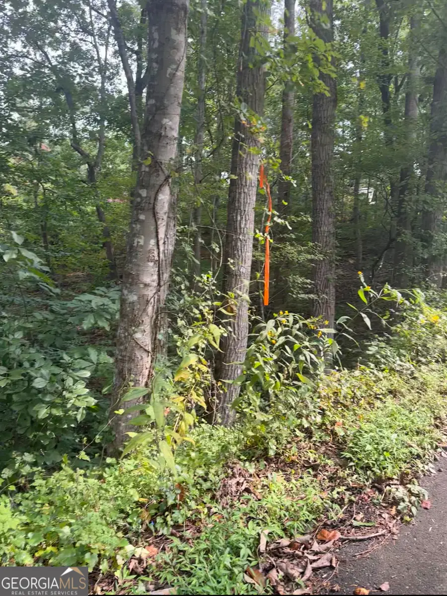 0 Crooked Trail, Gainesville, GA 30506 - Image #3