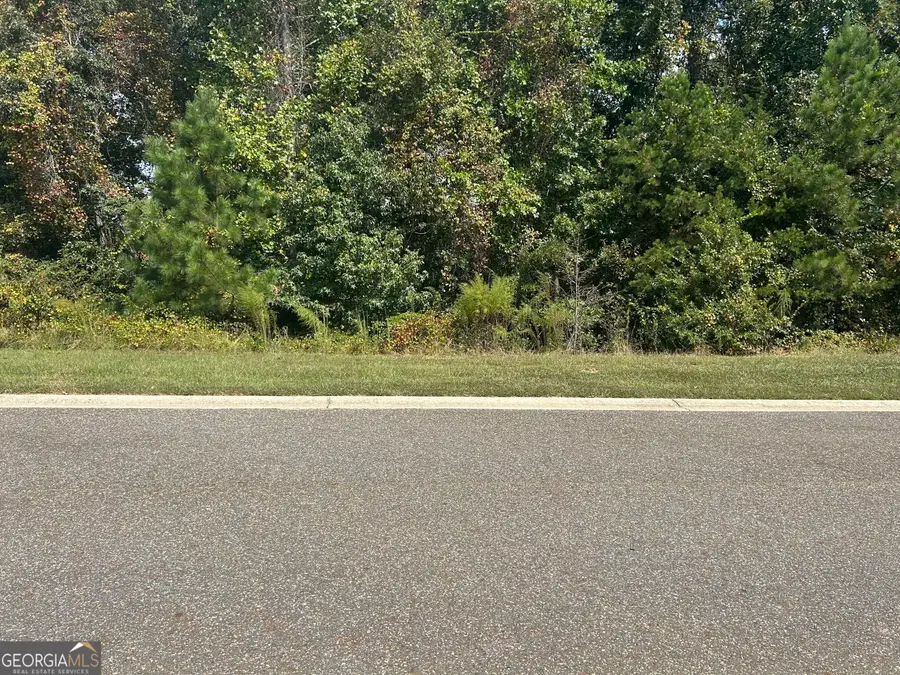 1381 Larose Drive #LOT 55A, Hoschton, GA 30548 - #3