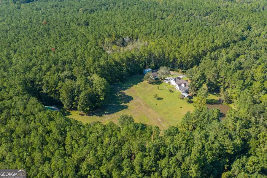 392 Mossy Oak Trail, Waverly, GA 31565 - Image #3