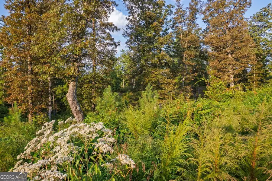 0 High River Road, Ellijay, GA 30540 - #3