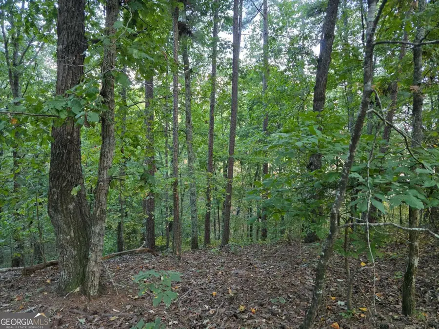 0 Old Goodie Mtn Road Se, Cartersville, GA 30120 - Image #3