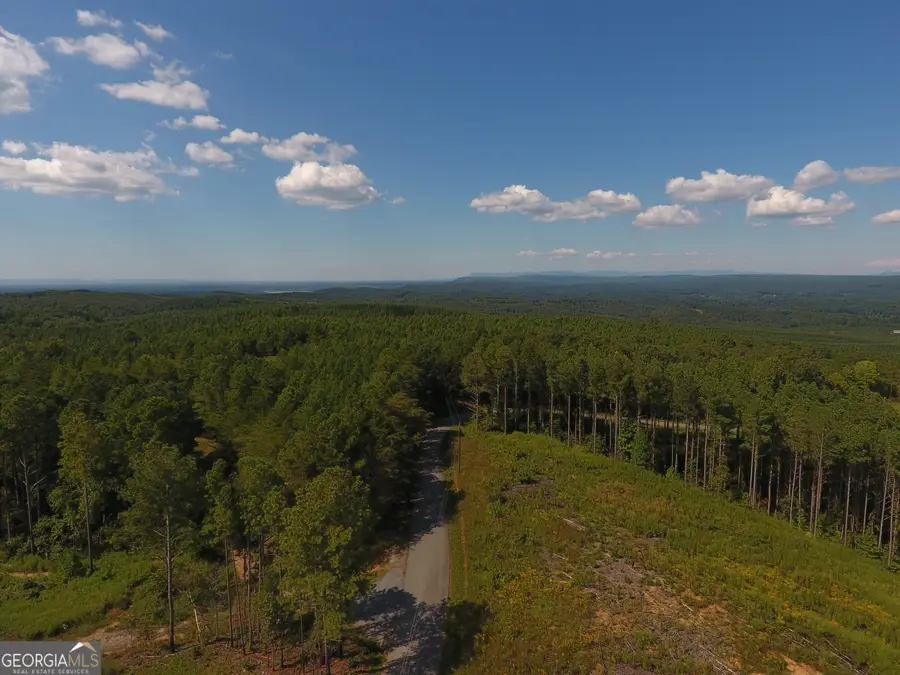 0 Johnson Mountain Road #7401-J, Rydal, GA 30171 - Image #3