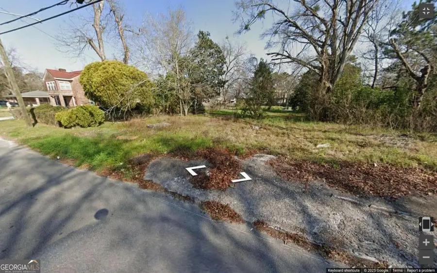 1036 Cornwall Street, Savannah, GA 31415 - Image #2