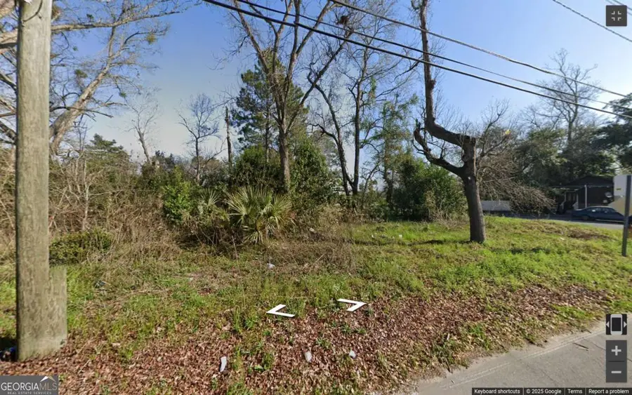 1036 Cornwall Street, Savannah, GA 31415 - Image #3