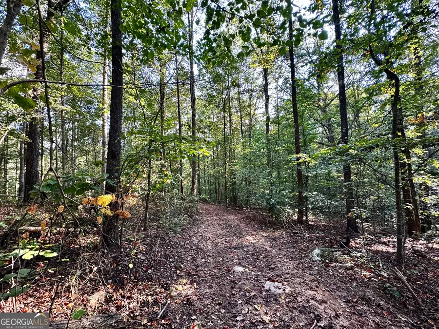 0 Kinney Creek Lane, Pendergrass, GA 30567 - Image #3