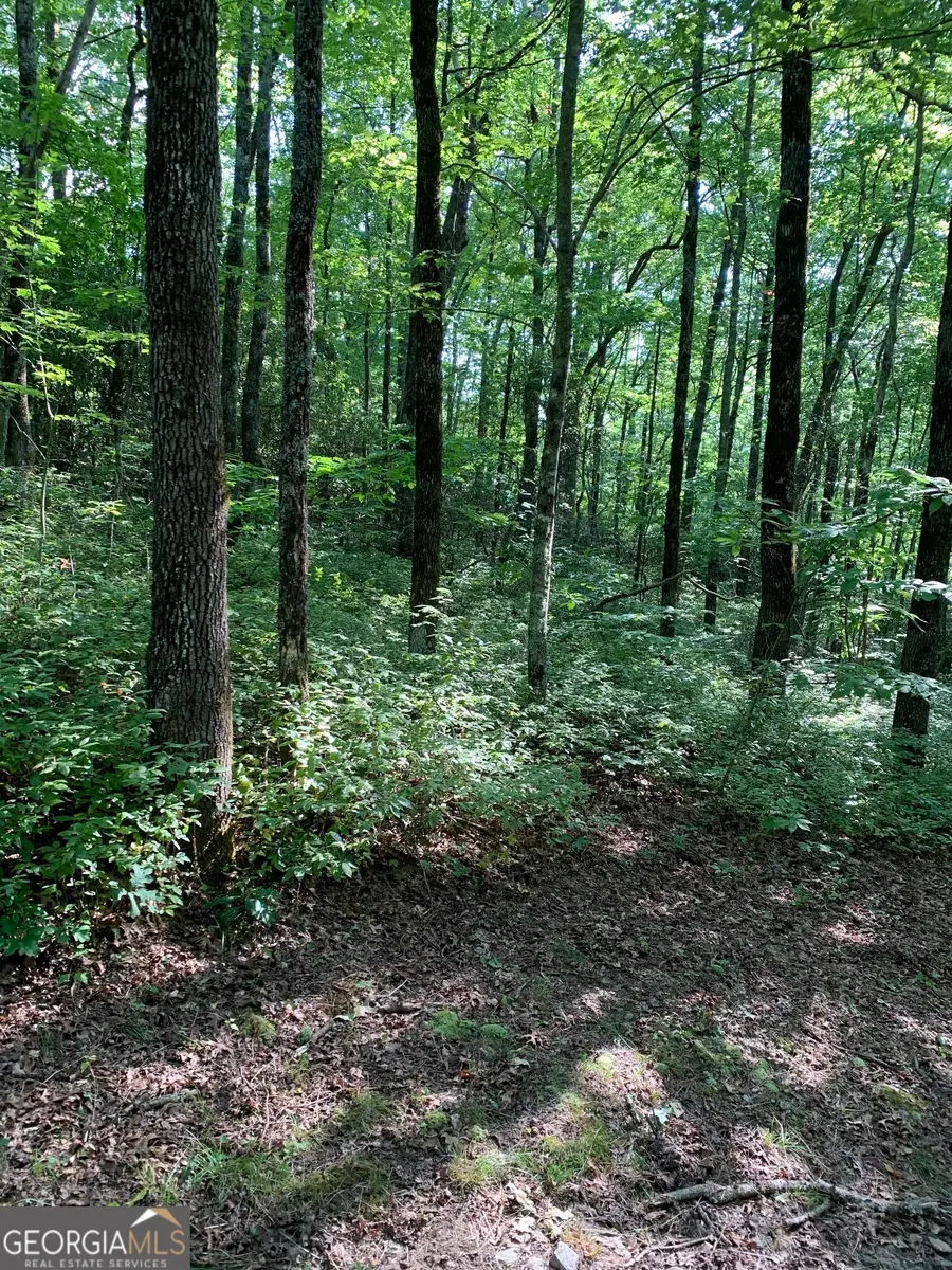 0 Maple Leaf Drive #TRACT 6, Dillard, GA 30537 - Image #3