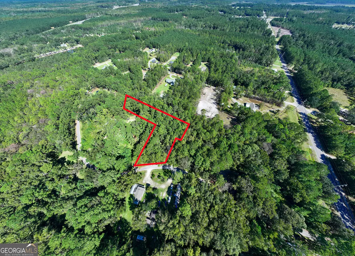 3 ACRES Lewis Lane Sw, Townsend, GA 31331 - Image #1
