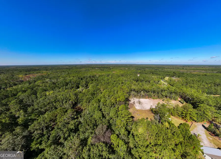 3 ACRES Lewis Lane Sw, Townsend, GA 31331 - Image #2