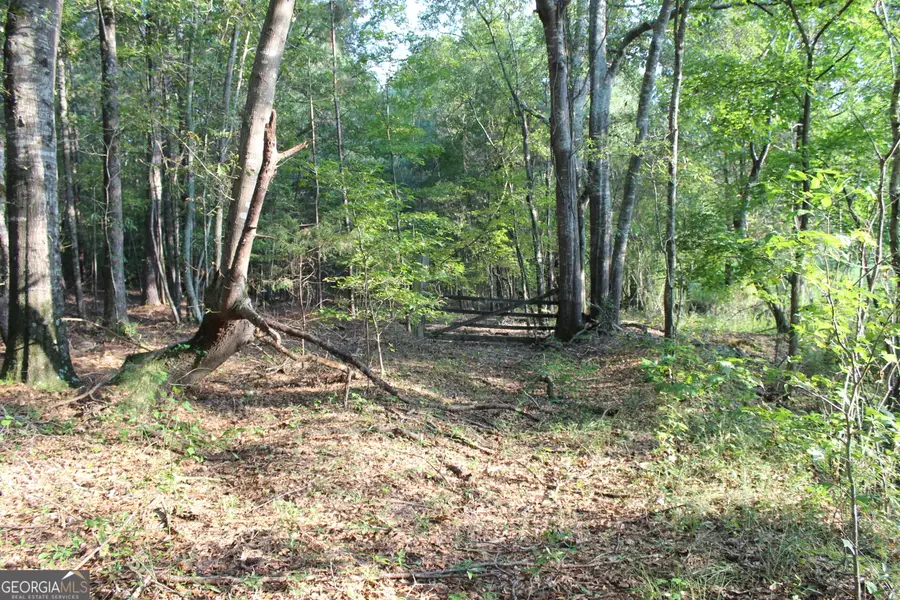 0 Ellington Road, Oxford, GA 30054 - Image #2