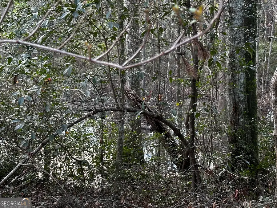 0 Marcia Avenue, Thomasville, GA 31792 - Image #2