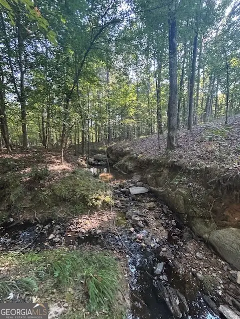 1251 Adams Road, Union Point, GA 30669