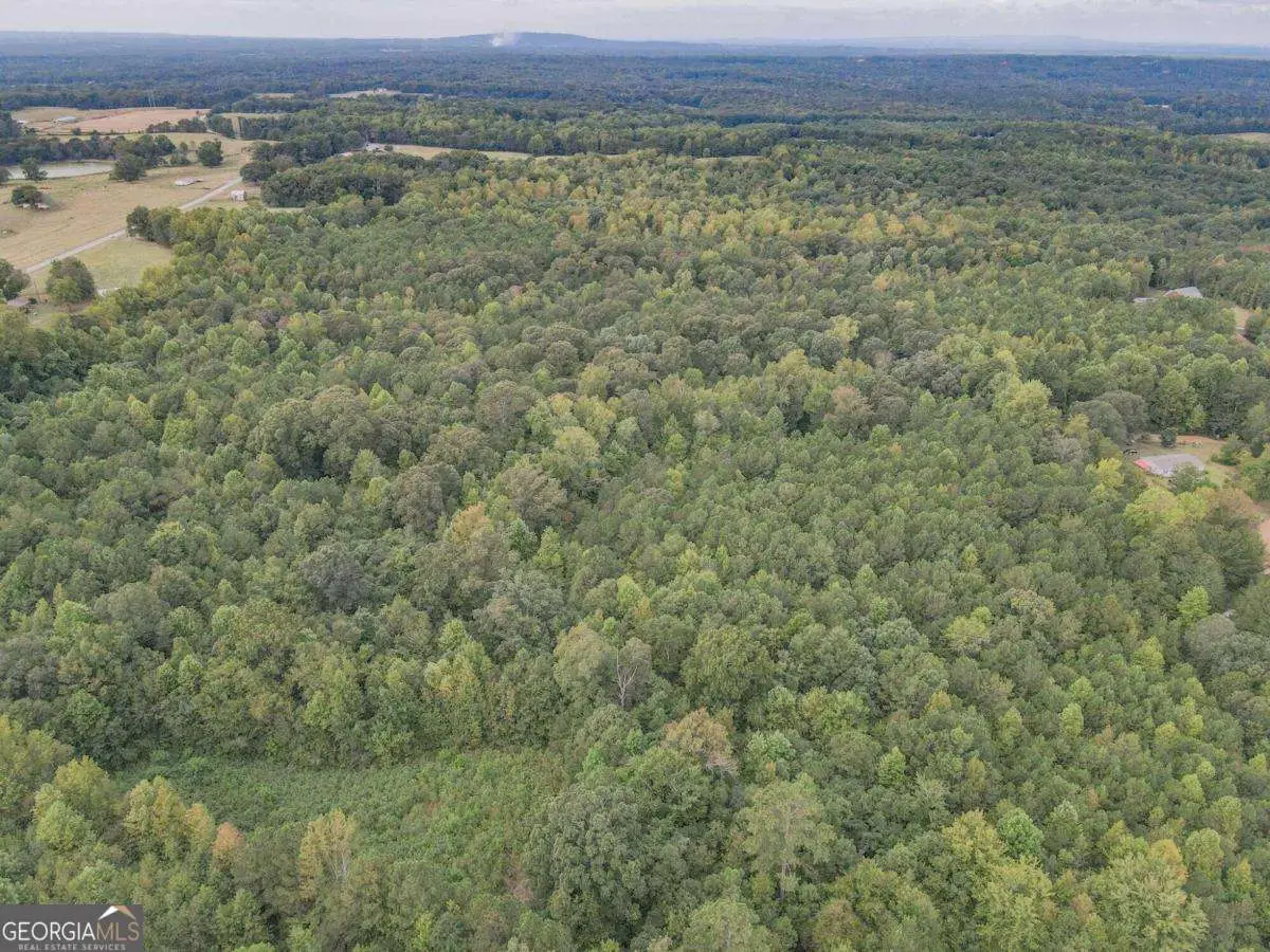 0 Roopville Veal Road, Roopville, GA 30170 - Image #1