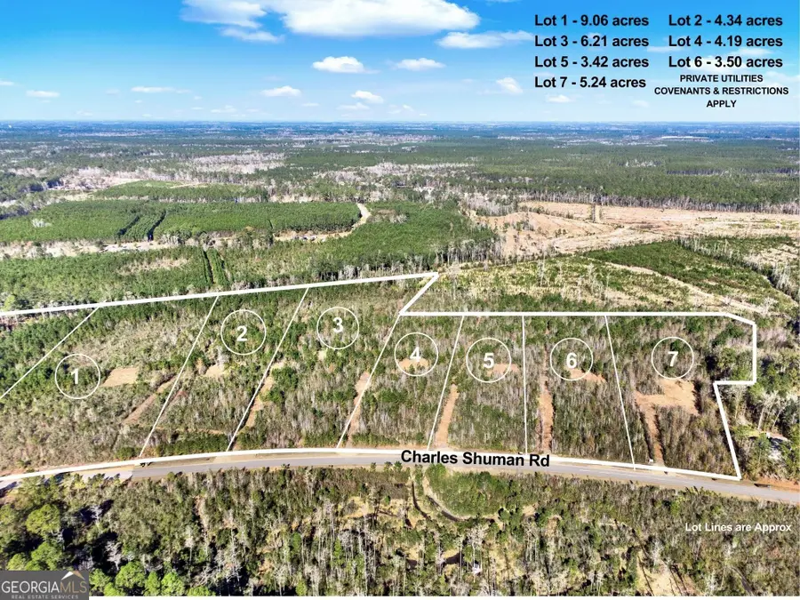 LOT 2 Charles Shuman Road, Pembroke, GA 31321 - #3