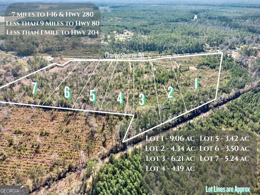 LOT 3 Charles Shuman Road, Pembroke, GA 31321 - #2