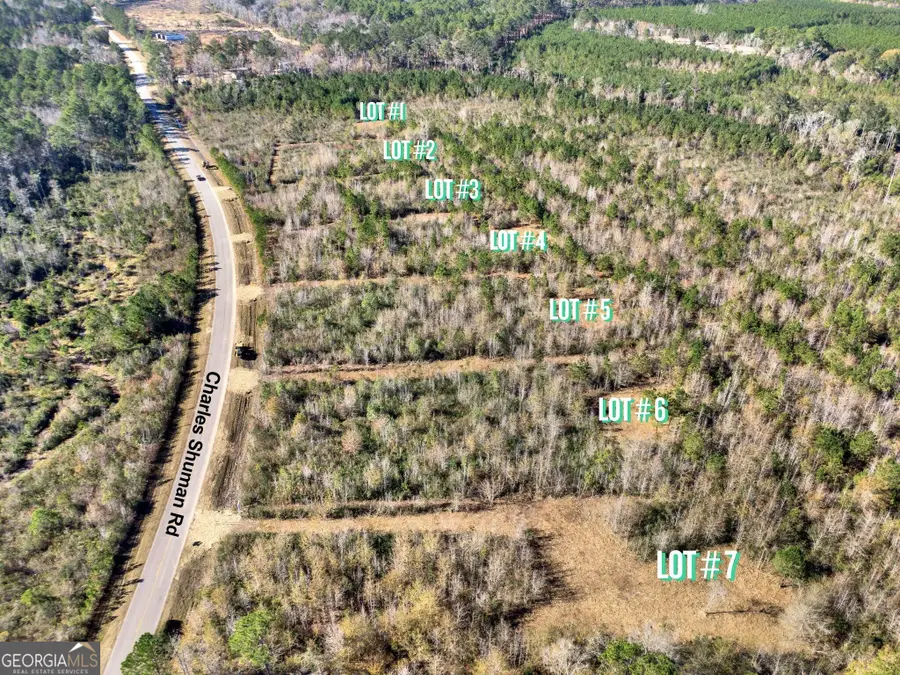 LOT 5 Charles Shuman Road, Pembroke, GA 31321 - #3