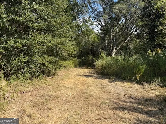 0 Old Esom Hill Loop, Cedartown, GA 30125 - Image #2
