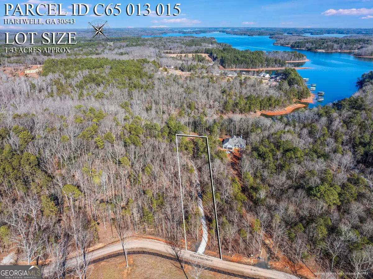 395 Tom Cobb Drive, Hartwell, GA 30643 - Image #1