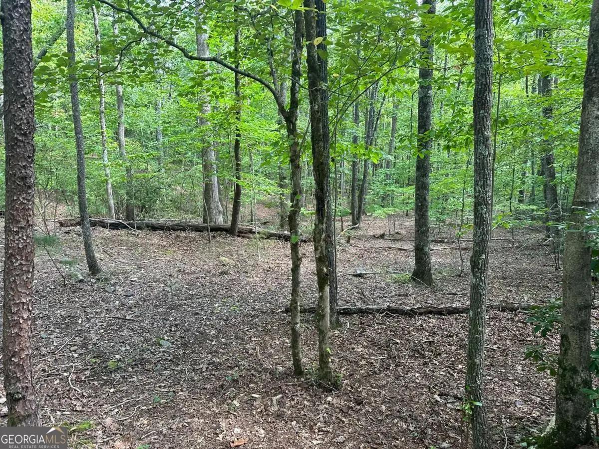 LOT 57 Asheland Cove Drive, Young Harris, GA 30582 - Image #1
