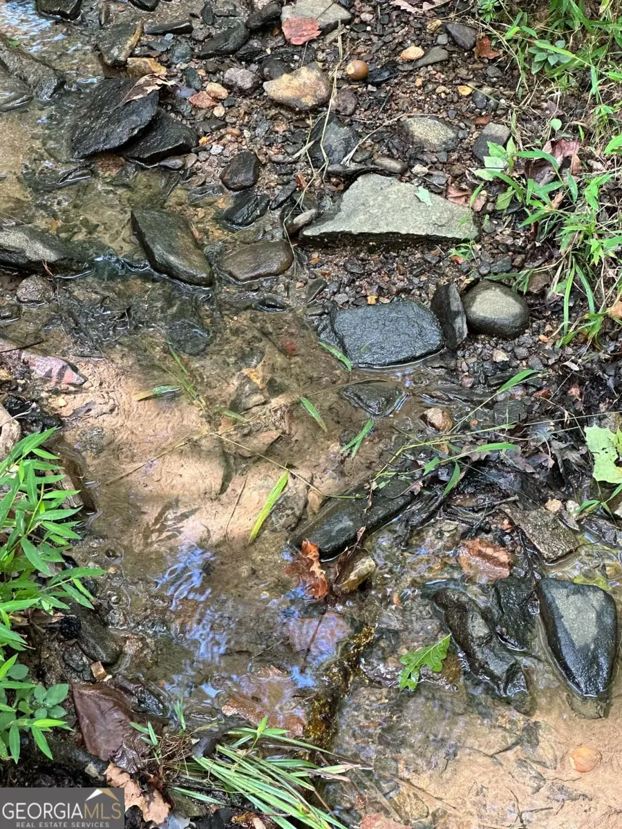 LOT 57 Asheland Cove Drive, Young Harris, GA 30582 - Image #2