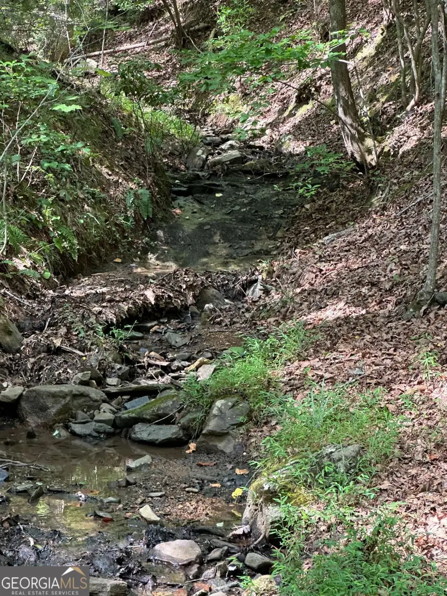 LOT 57 Asheland Cove Drive, Young Harris, GA 30582 - Image #3