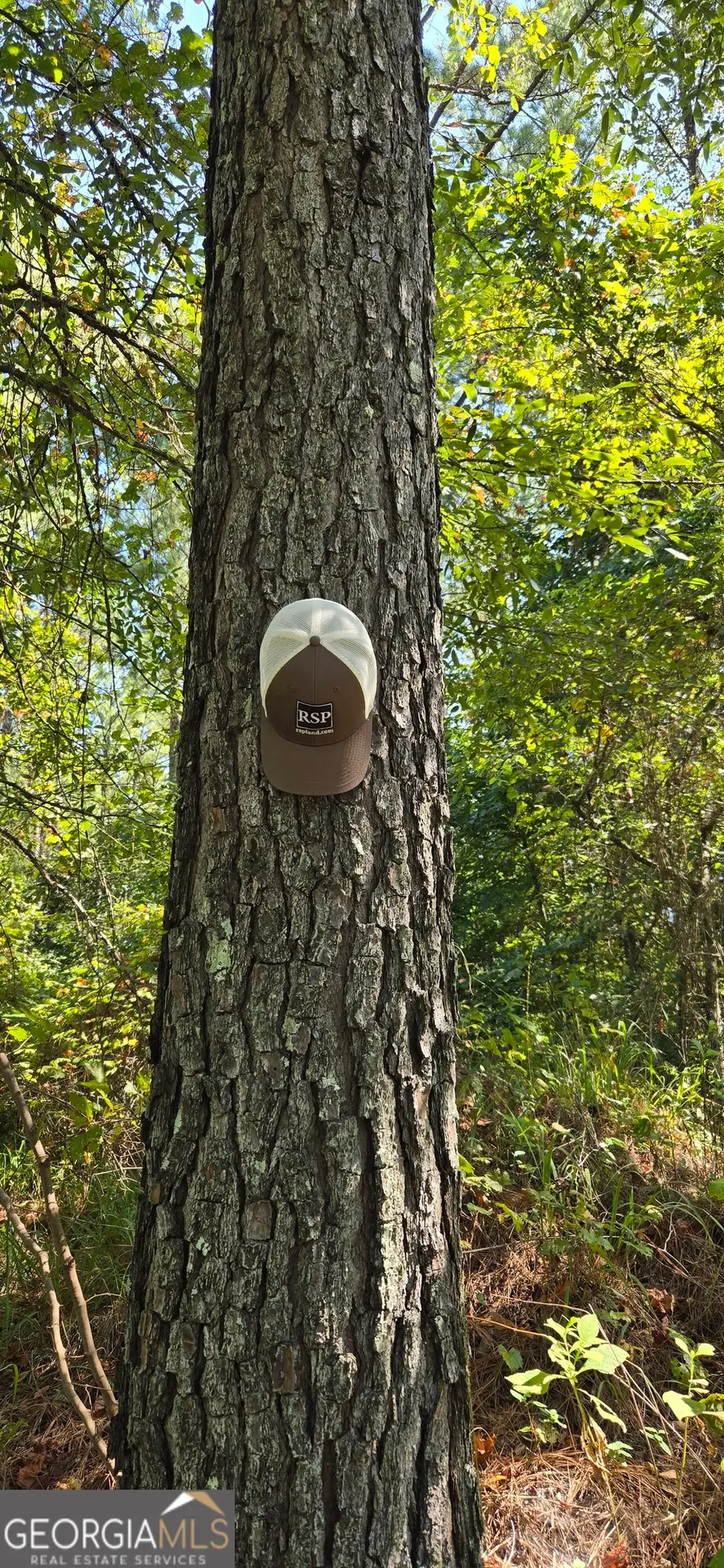 0 5 Points Road, Gray, GA 31032 - Image #3