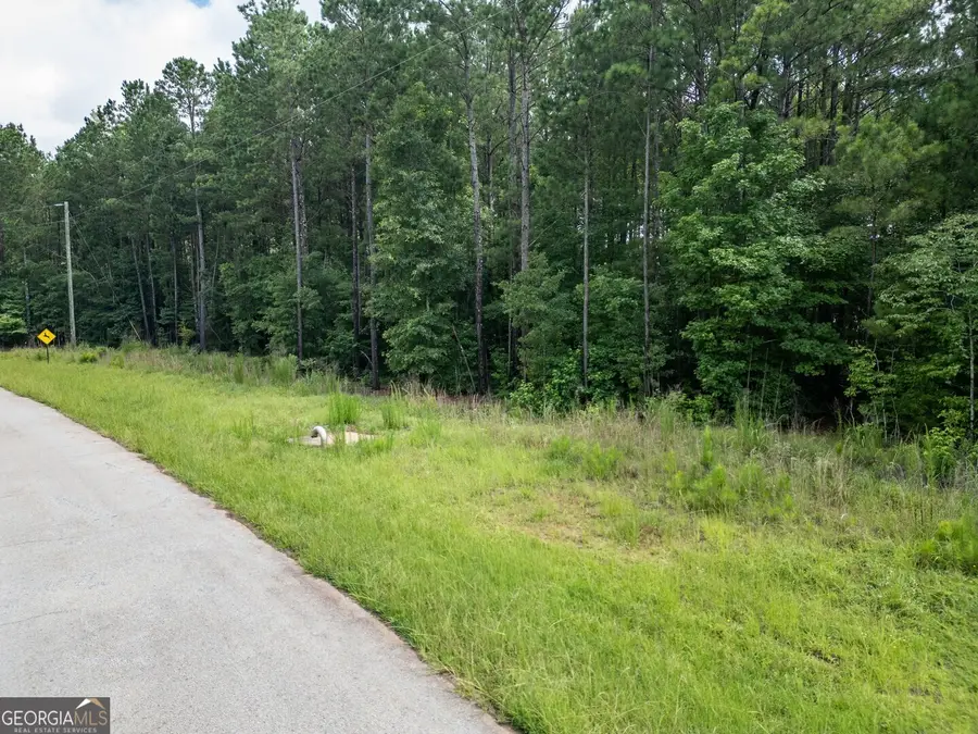 171 Preservation Drive, Jackson, GA 30233 - Image #3