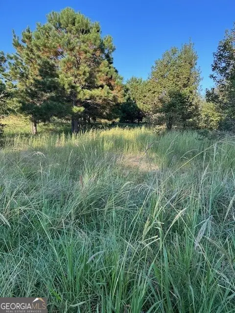 0 Cary Lane, Washington, GA 30673 - #1