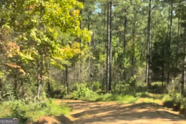 0 County Road 831 #TRACT 1, Wadley, AL 36276