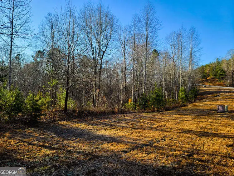 580 N Edgewater Trail, Toccoa, GA 30577 - Image #2