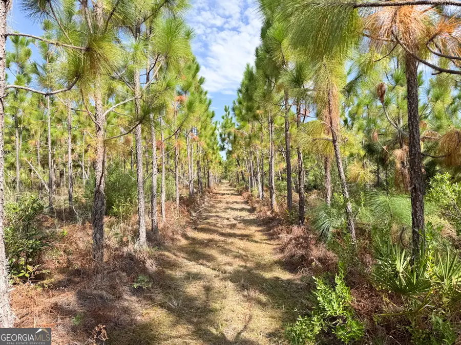 100 Doc Hunter Road, Baxley, GA 31513 - Image #3