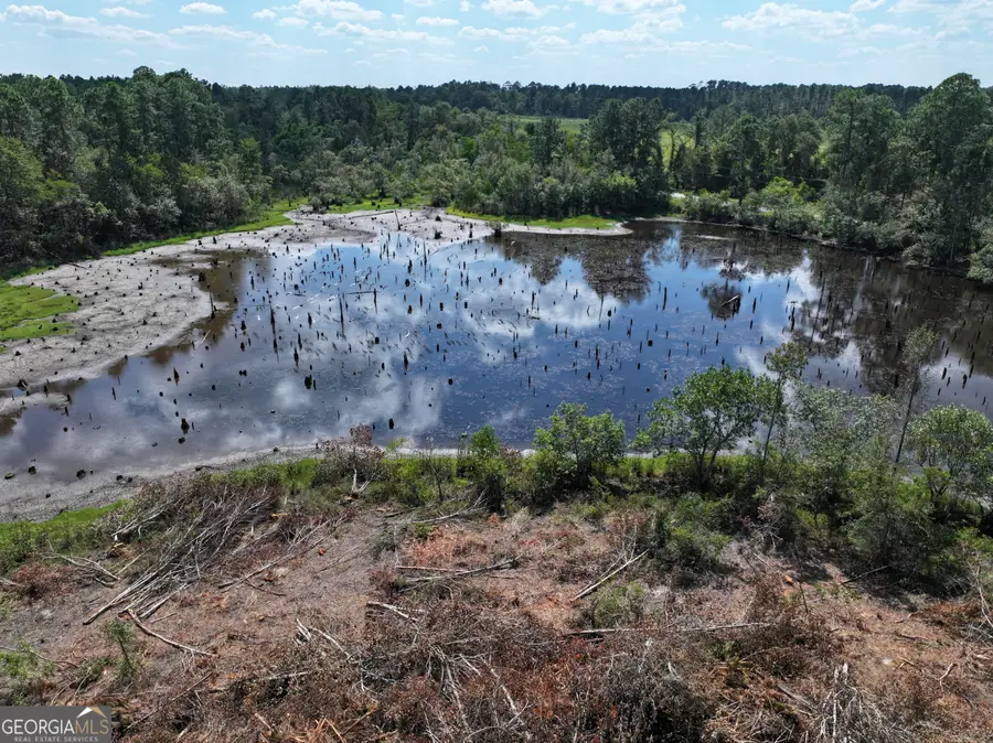 0 Mann Sikes Road, Cobbtown, GA 30420 - Image #2