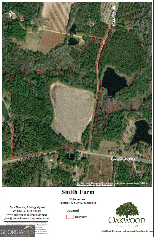 0 Mann Sikes Road, Cobbtown, GA 30420 - Image #3