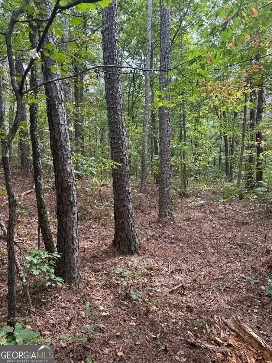 3826 Salacoa #-TRACT C, Waleska, GA 30183 - Image #3