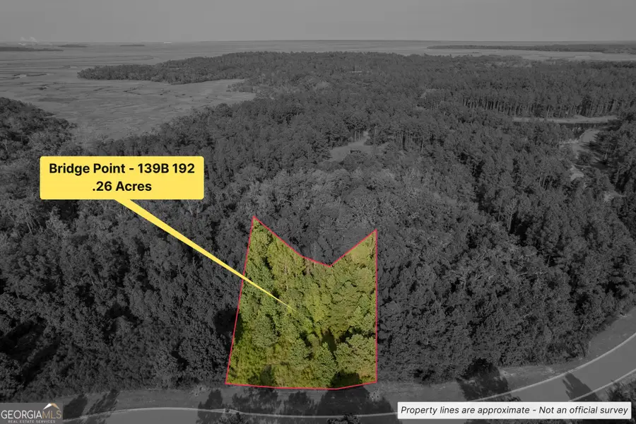LOT 192 Bridge View Lane, Waverly, GA 31565 - Image #2