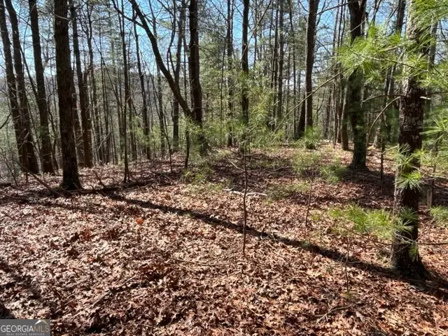LT 24 Pickett Mill Lane, Ellijay, GA 30540 - Image #1