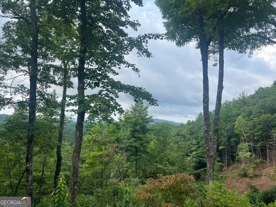 LOT 40 Anderson Drive, Clayton, GA 30525 - Image #2