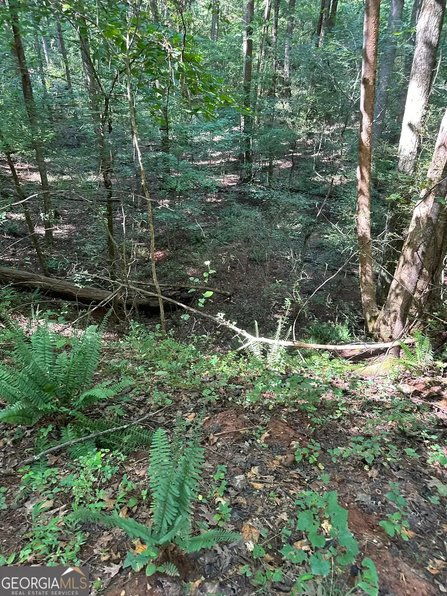 2470 Fears Road, Madison, GA 30650 - #3