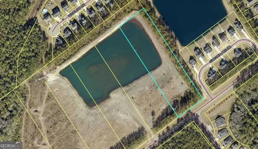 1550 Belfast River Road, Richmond Hill, GA 31324 - #3