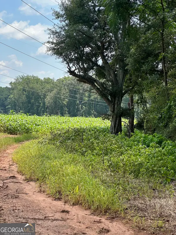 1981 A Broughton Road, Newborn, GA 30056