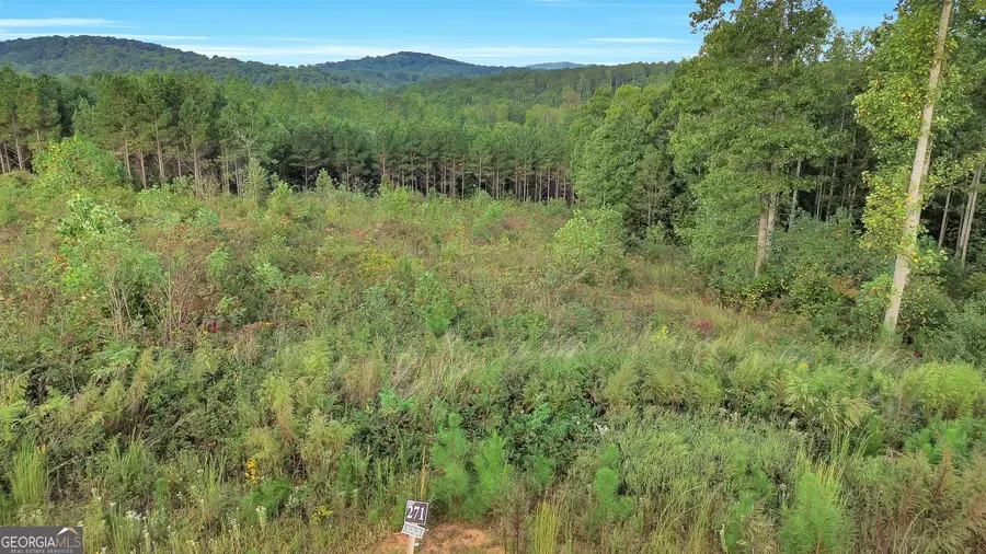 LT 271 Highgrove Drive, Talking Rock, GA 30175 - Image #2