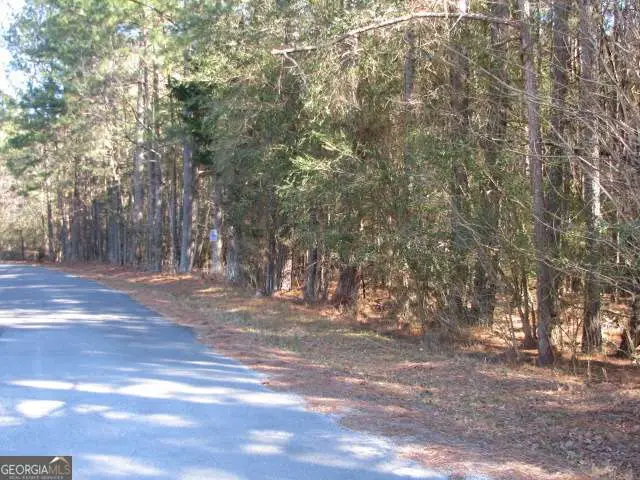 0 Lake Wanda Rita Road, Summerville, GA 30747 - Image #2