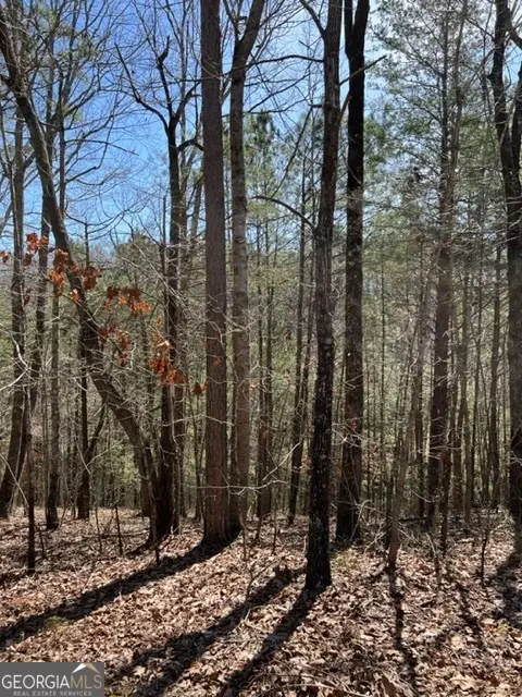 LOT 4 Hunter Ridge, Ellijay, GA 30540