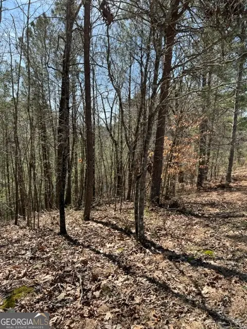 LOT 4 Hunter Ridge, Ellijay, GA 30540 - Image #2