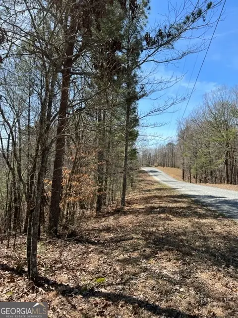 LOT 4 Hunter Ridge, Ellijay, GA 30540 - Image #3